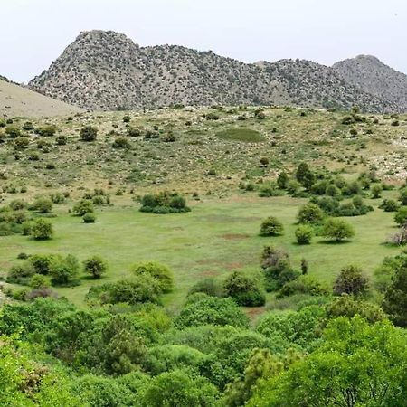 Casa Rural Casa Gonzalo Pensionat Belmez de la Moraleda Eksteriør billede