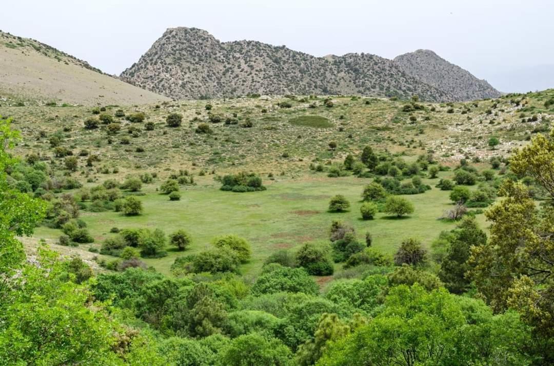 Casa Rural Casa Gonzalo Pensionat Belmez de la Moraleda Eksteriør billede
