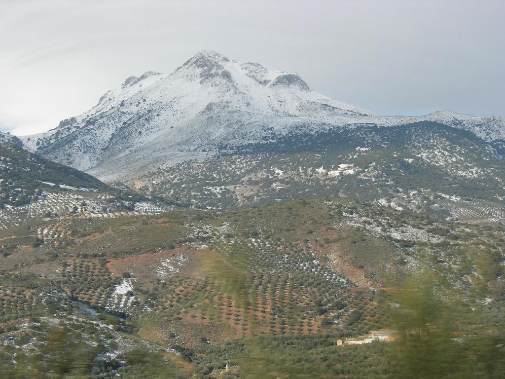 Casa Rural Casa Gonzalo Pensionat Belmez de la Moraleda Eksteriør billede