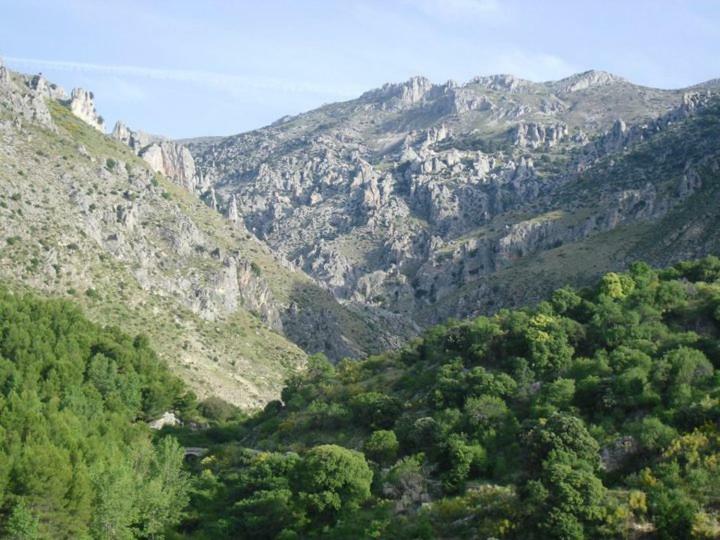 Casa Rural Casa Gonzalo Pensionat Belmez de la Moraleda Eksteriør billede